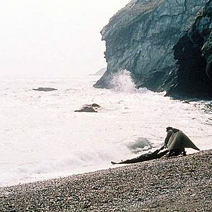 Foto Madera a la deriva