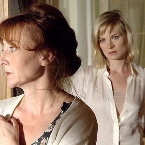 Foto Los perros dormidos mienten