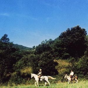 Foto Honor de cavallería