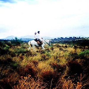 Foto Honor de cavallería