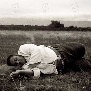 Foto Honor de cavallería