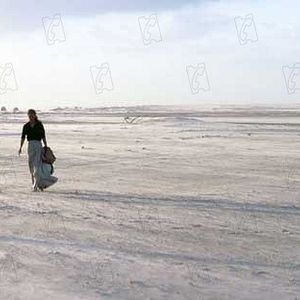 Foto Fernanda Torres