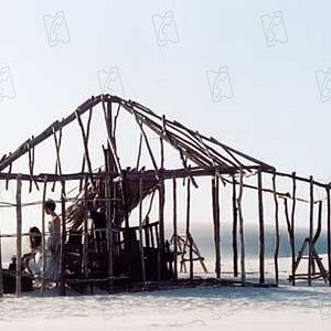 Foto Fernanda Torres