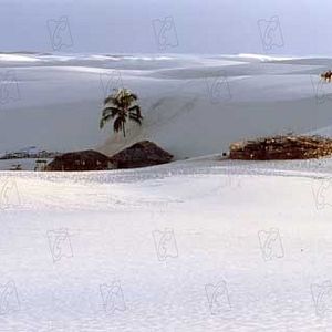 Foto Andrucha Waddington