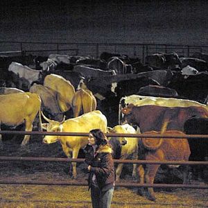 Foto Fast Food Nation