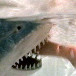 Foto James L. Frachon