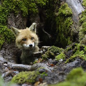 Foto Una amistad inolvidable