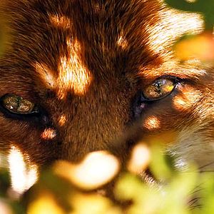 Foto Una amistad inolvidable