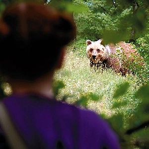 Foto Una amistad inolvidable