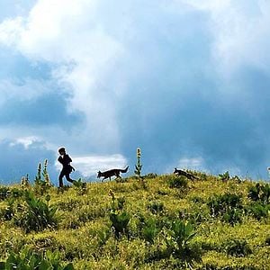 Foto Una amistad inolvidable