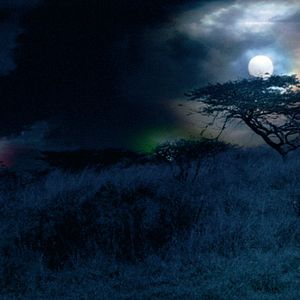 Foto Mario Andreacchio