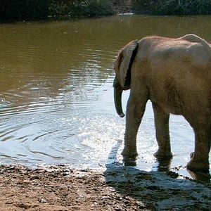 Foto Mario Andreacchio