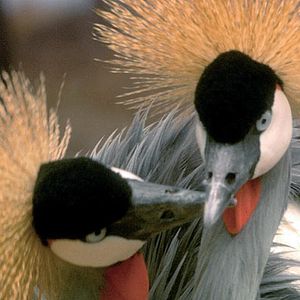 Foto Mario Andreacchio