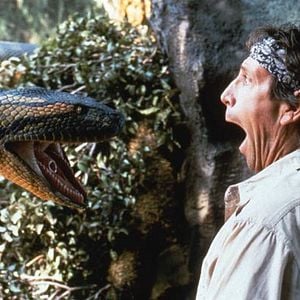 Foto Anaconda