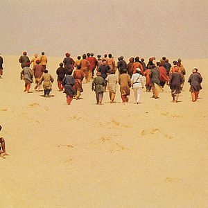 Foto Los balizadores del desierto