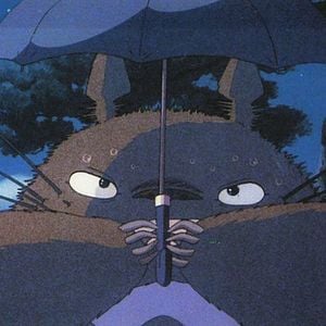 Foto Mi vecino Totoro