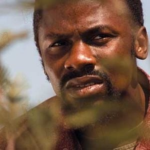 Foto Atrapa el fuego