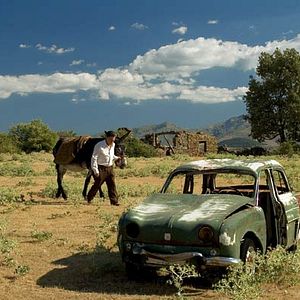 Foto La noche de los girasoles