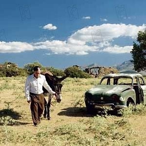 Foto La noche de los girasoles