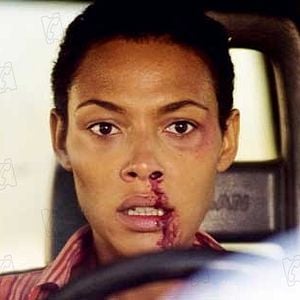 Foto La noche de los girasoles