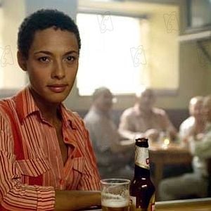 Foto La noche de los girasoles