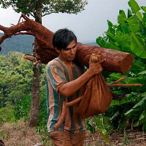 Foto El camino de San Diego