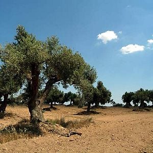 Foto Días de agosto