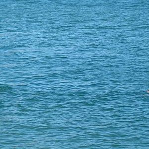 Foto Días de agosto