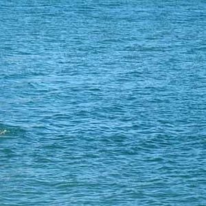 Foto Días de agosto