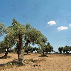 Foto Días de agosto