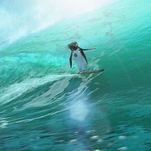 Foto Locos por el surf