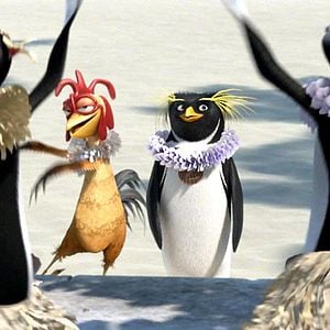 Foto Locos por el surf