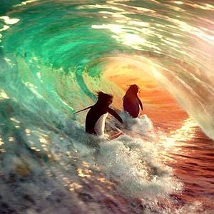 Foto Locos por el surf