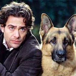 Foto Rex, un policía diferente