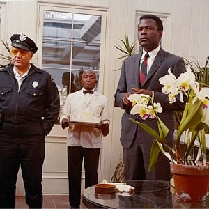 Foto En el calor de la noche