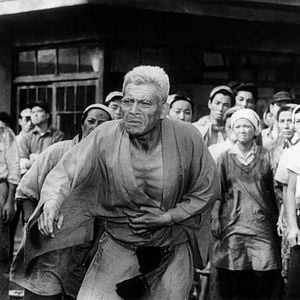 Foto Crónica de un ser vivo