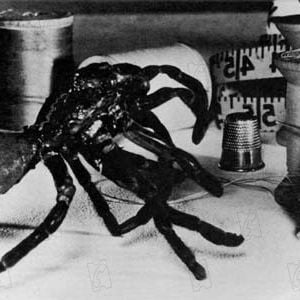 Foto El increíble hombre menguante