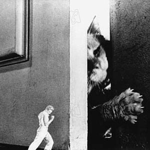 Foto El increíble hombre menguante