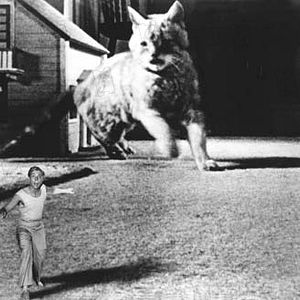 Foto El increíble hombre menguante