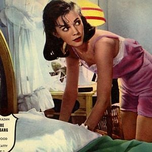 Foto Esplendor en la hierba