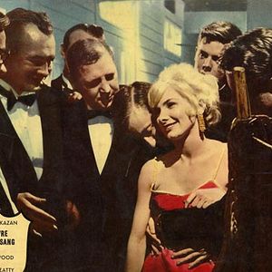 Foto Esplendor en la hierba