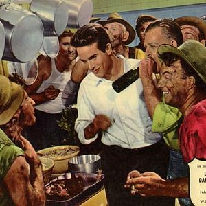 Foto Esplendor en la hierba