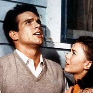 Foto Esplendor en la hierba