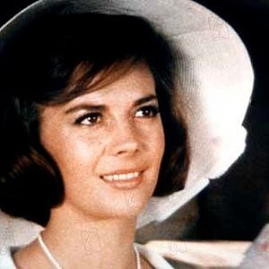 Foto Esplendor en la hierba