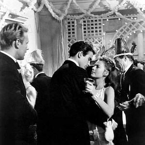 Foto Esplendor en la hierba