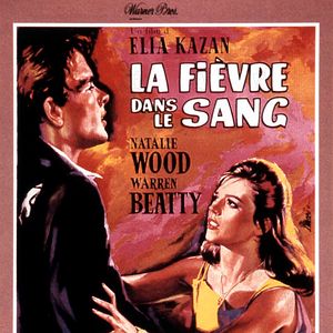 Foto Esplendor en la hierba