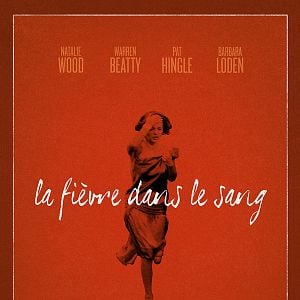 Foto Esplendor en la hierba