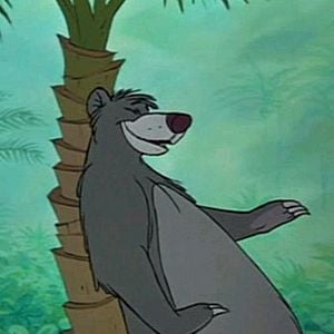 Foto El libro de la selva