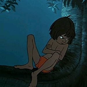 Foto El libro de la selva