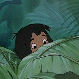 Foto El libro de la selva